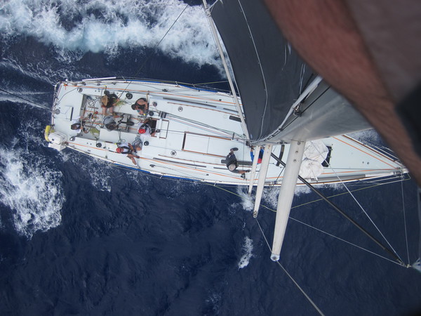 Tom up the mast